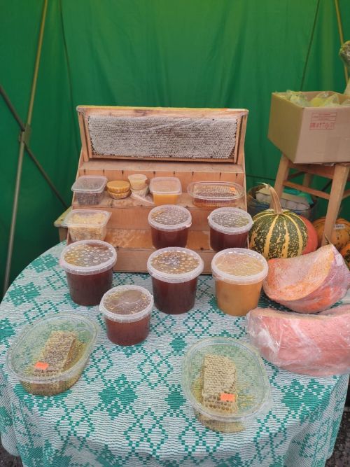 Табыннарыбыз муллыгы  өчен
