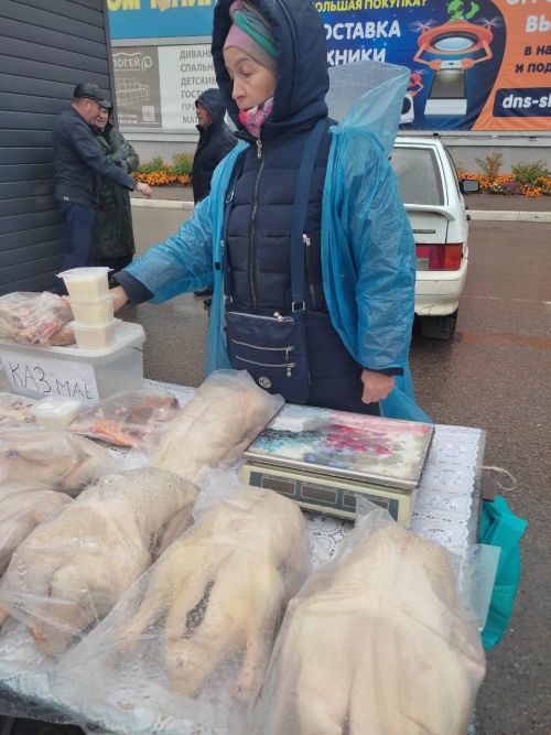 Табыннарыбыз муллыгы  өчен