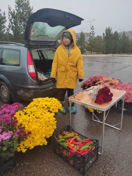 Табыннарыбыз муллыгы  өчен