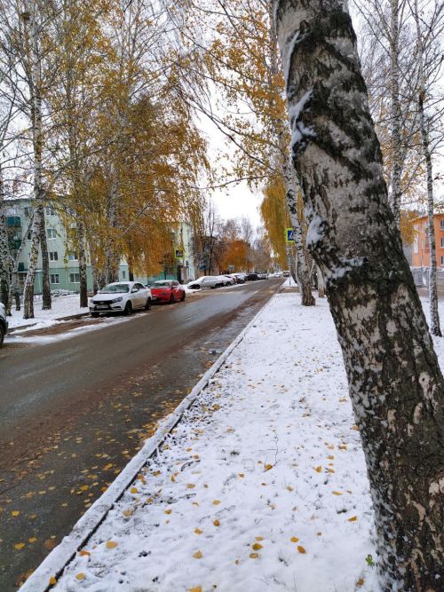 Бүген Азнакай районы башкарма комитеты җитәкчесе Айдар Шәмсетдинов юл хәрәкәте куркынычсызлыгы темасына туры эфир үткәрде