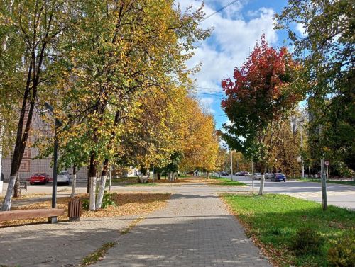 В республике заготовили 2300 кг семян лесообразующих пород