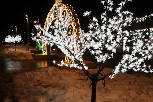 Открытие центральной новогодней елки