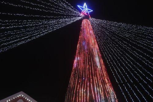 Открытие центральной новогодней елки