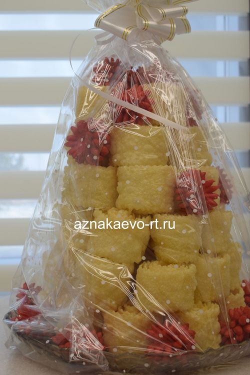 Азнакайда  яңа ЗАГС бинасы ачылды