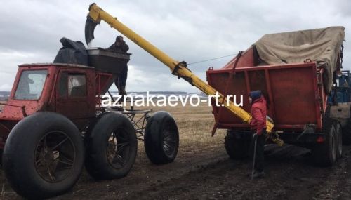 Работа на полях Азнакаево идет полным ходом
