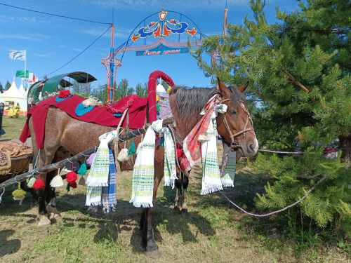 Газетага язылу чорында тырышып эшләгән почтальоннарны билгеләп, тәбрикләү--«Маяк»ның күркәм гадәте