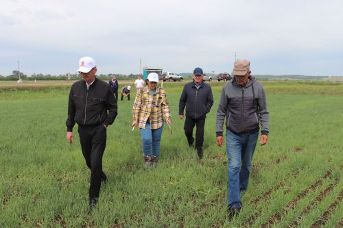 В Азнакаевском районе комиссия провела приемку посевов