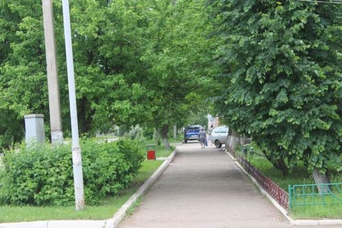 «Экология» проекты буенча Татарстанда урман янгынын сүндерү машиналары өчен юллар төзелә
