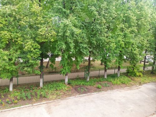 Җәйге ялыгыз ничек уза?