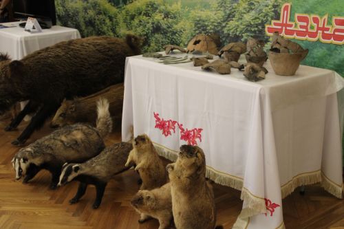 Азнакайлылар чыгышын казанлылар көчле алкышларга күмде