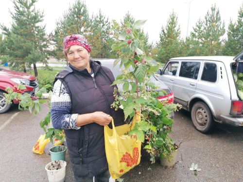 Азнакайда көзге ярминкәләр башланды