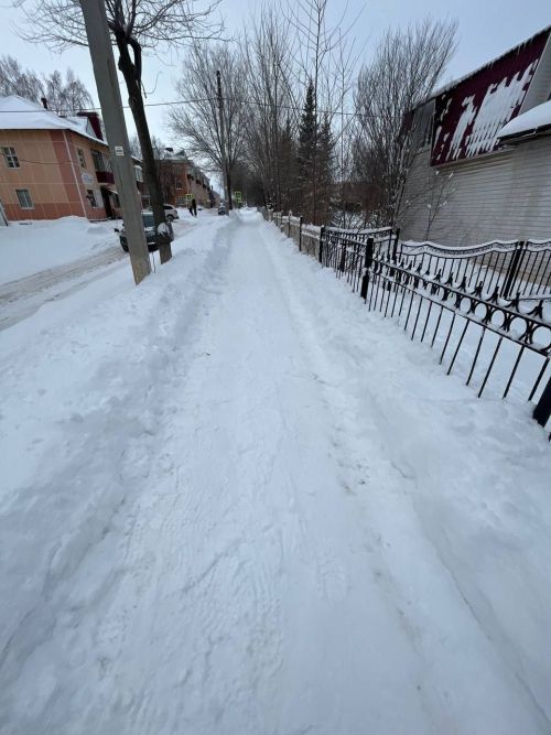 Азнакайлылар бердәм булып кар чистартырга чыктылар