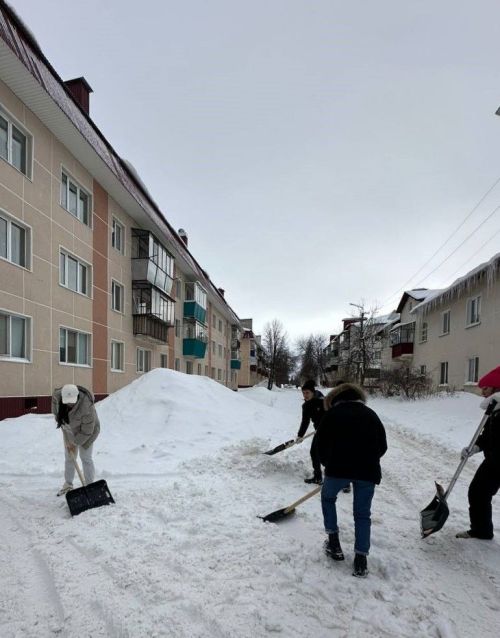 Азнакайлылар бердәм булып кар чистартырга чыктылар