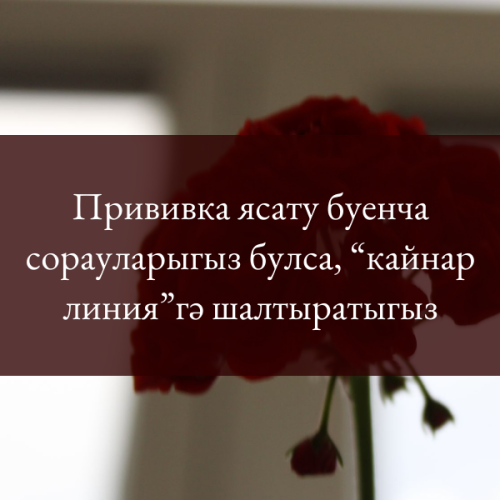 Прививка ясату буенча сорауларыгыз булса, “кайнар линия”гә шалтыратыгыз