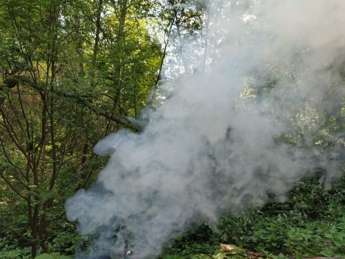 Пожароопасный сезон в Татарстане начнется 15 апреля.