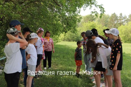 Азнакайда иҗтимагый совет лагерьларны йөреп чыкты