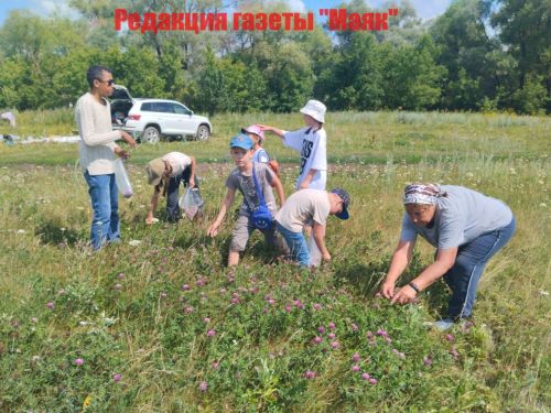 Сәпәй уңганнары махсус хәрби операциядә катнашучыларга витаминлы чәй әзерли