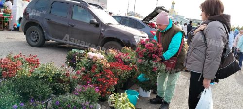 Азнакайда Халыкара укытучылар көненә багышланган ярминкә узды