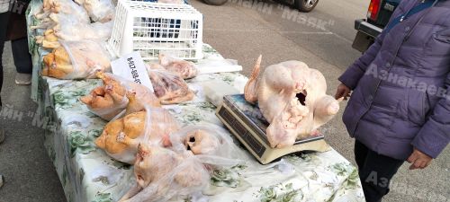 Азнакайда Халыкара укытучылар көненә багышланган ярминкә узды