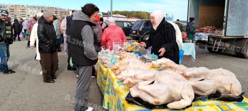 Азнакайда Халыкара укытучылар көненә багышланган ярминкә узды