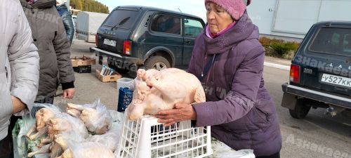 Азнакайда Халыкара укытучылар көненә багышланган ярминкә узды