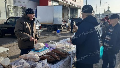 Азнакайда көзге ярминкәләр гөрли