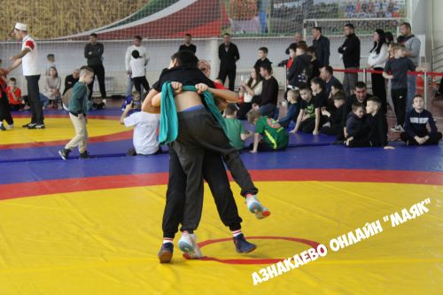 Азнакайда район башлыгы кубогына көрәш турниры бара