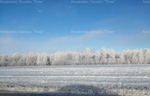 Казанда аномаль җылылык декабрь уртасына кадәр тоткарланачак