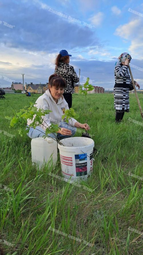 Монолитта яшәүчеләр гаиләләре белән агачлар утырттылар