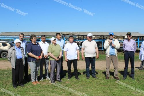 Азнакай районында сыер савучылар һәм төхнологлар бәйгесе үтте
