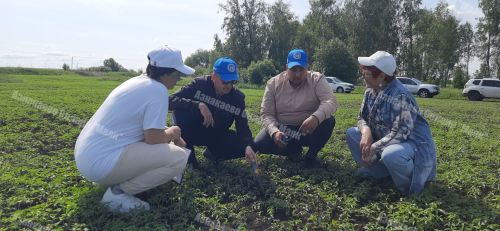 Азнакайда комиссия чәчүлекләрне кабул итте