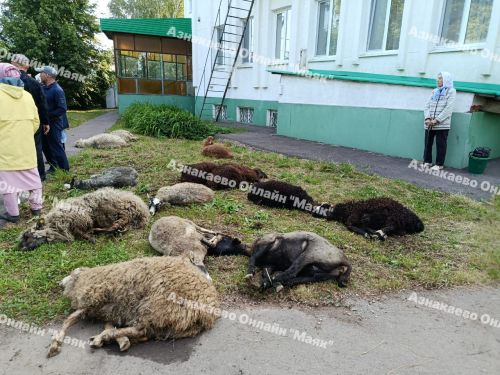 Корбан гаете мөбарәк булсын!