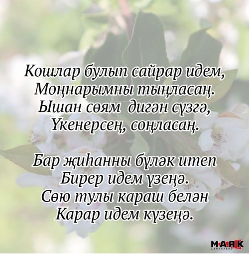 Фирая Исламова (Илдарханова) иҗаты