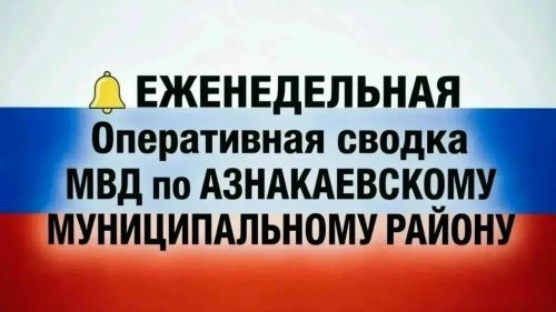 Оперативная сводка