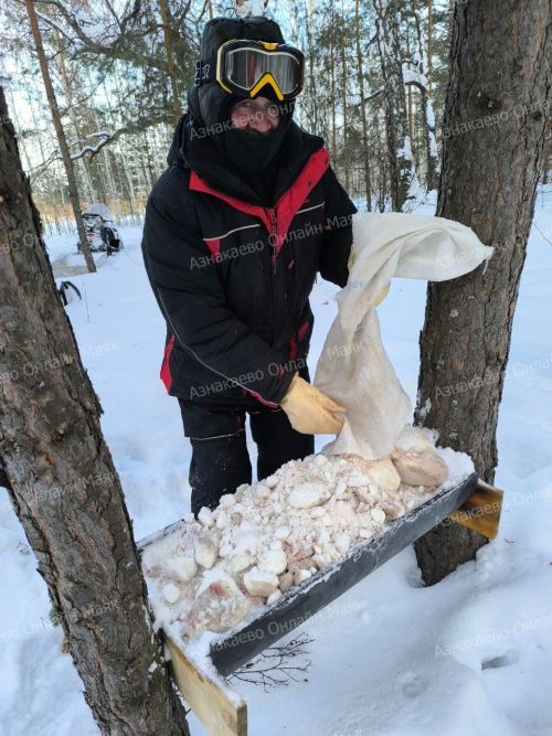 Азнакай районында фаунага мониторинг уздырылды