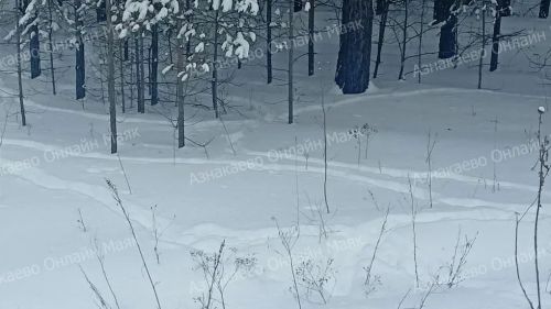 Азнакай районында фаунага мониторинг уздырылды