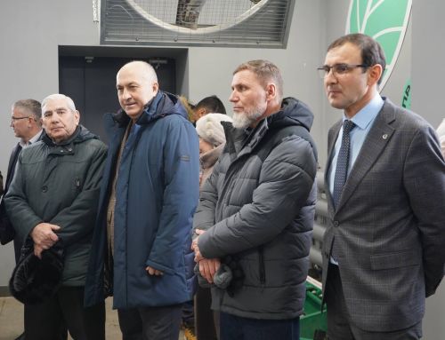 Азнакайда урман хуҗалыгына йомгак ясалды һәм 2026 елга планнар билгеләнде