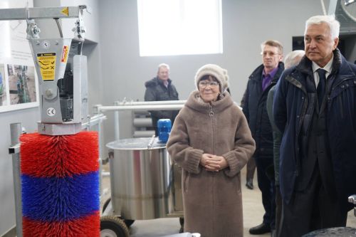 Азнакайда урман хуҗалыгына йомгак ясалды һәм 2026 елга планнар билгеләнде