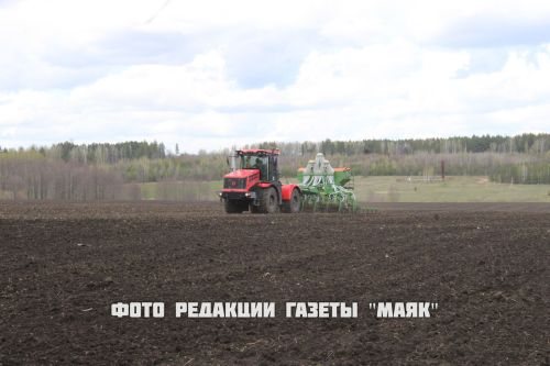 Азнакай районы басуларында язгы кыр эшләре гөрләп бара