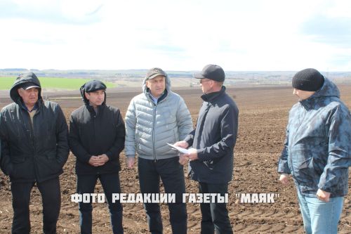 Азнакай районы басуларында язгы кыр эшләре гөрләп бара