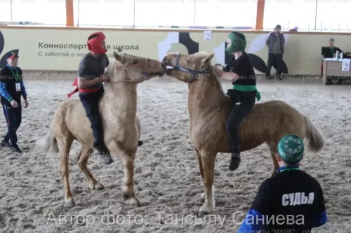 Актүбә бистәсендә ир-атлар ат өстендә көрәшәләр