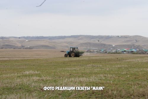 Азнакайлылар язгы кыр эшләре гөрли