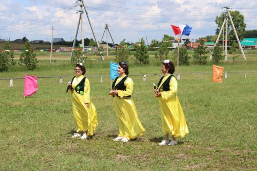 Азнакайда ветераннар Сабан туе узды: Урсайда өлкәннәр капчык киеп йөгерде, аркан тартты һәм биеде