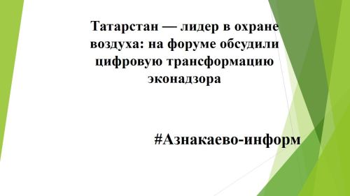 Татарстан — лидер в охране воздуха: на форуме обсудили цифровую трансформацию эконадзора