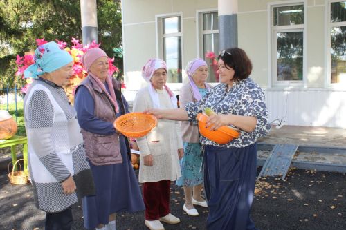 Сәпәй авылында иң зур һәм кечкенә кабак үстерүчеләрне ачыкладылар