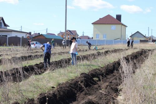 Азнакаевцы присоединились к Международной акции "Сад памяти"