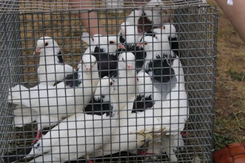 В Азнакаево соревновались самые дружные спортивные семьи