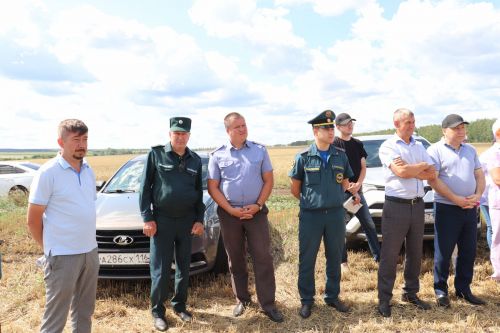 На азнакаевских полях началась жатва