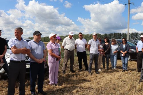 На азнакаевских полях началась жатва