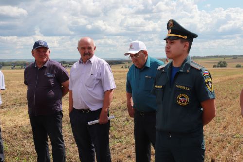 На азнакаевских полях началась жатва